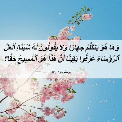 Picture 06 - يوحنَّا 7:26 AVD - وَهَا هُوَ يَتَكَلَّمُ - Bible Verse Picture