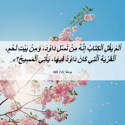 Picture 06 - يوحنَّا 7:42 AVD - أَلَمْ يَقُلِ ٱلْكِتَابُ - Bible Verse Picture