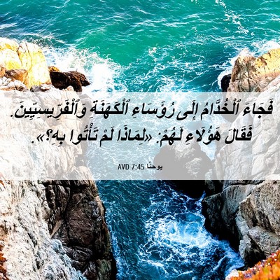 Picture 06 - يوحنَّا 7:45 AVD - فَجَاءَ ٱلْخُدَّامُ إِلَى - Bible Verse Picture