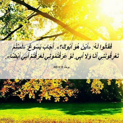 Picture 06 - يوحنَّا 8:19 AVD - فَقَالُوا لَهُ: «أَيْنَ - Bible Verse Picture