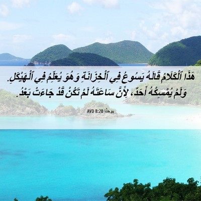 Picture 06 - يوحنَّا 8:20 AVD - هَذَا ٱلْكَلَامُ قَالَهُ - Bible Verse Picture