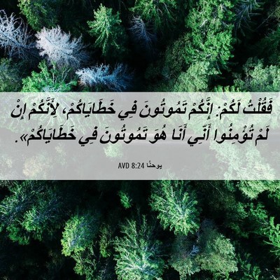 Picture 06 - يوحنَّا 8:24 AVD - فَقُلْتُ لَكُمْ: إِنَّكُمْ - Bible Verse Picture