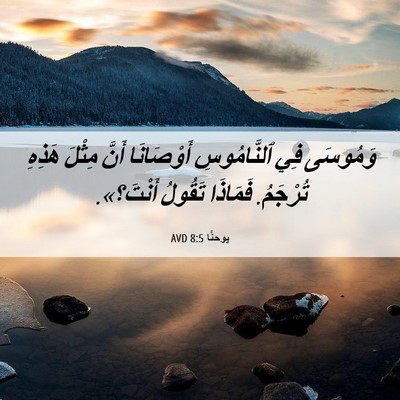 Picture 06 - يوحنَّا 8:5 AVD - وَمُوسَى فِي ٱلنَّامُوسِ - Bible Verse Picture