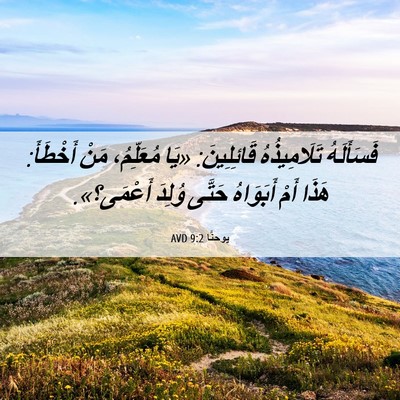 Picture 06 - يوحنَّا 9:2 AVD - فَسَأَلَهُ تَلَامِيذُهُ - Bible Verse Picture