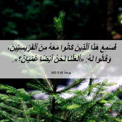 Picture 06 - يوحنَّا 9:40 AVD - فَسَمِعَ هَذَا ٱلَّذِينَ - Bible Verse Picture