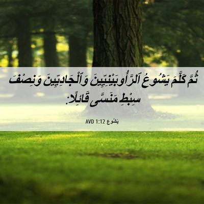Picture 06 - يَشُوع 1:12 AVD - ثُمَّ كَلَّمَ يَشُوعُ - Bible Verse Picture