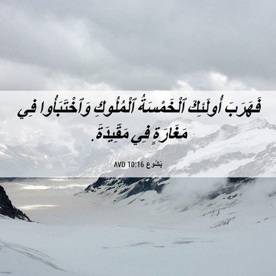 Picture 06 - يَشُوع 10:16 AVD - فَهَرَبَ أُولَئِكَ - Bible Verse Picture