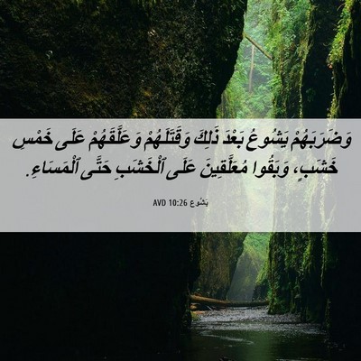 Picture 06 - يَشُوع 10:26 AVD - وَضَرَبَهُمْ يَشُوعُ - Bible Verse Picture