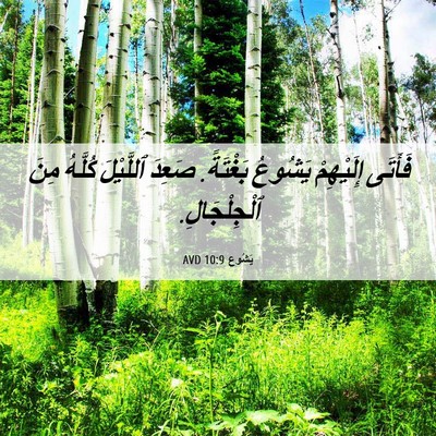 Picture 06 - يَشُوع 10:9 AVD - فَأَتَى إِلَيْهِمْ - Bible Verse Picture