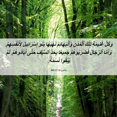 Picture 06 - يَشُوع 11:14 AVD - وَكُلُّ غَنِيمَةِ تِلْكَ - Bible Verse Picture