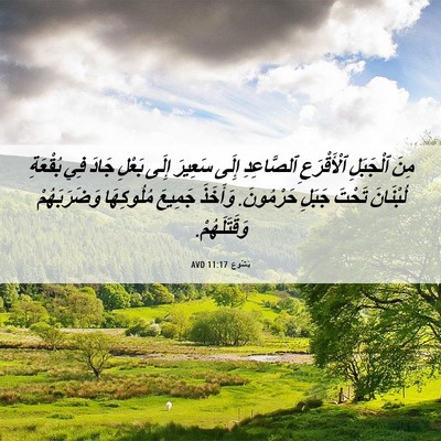 Picture 06 - يَشُوع 11:17 AVD - مِنَ ٱلْجَبَلِ - Bible Verse Picture