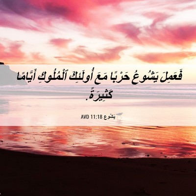 Picture 06 - يَشُوع 11:18 AVD - فَعَمِلَ يَشُوعُ حَرْبًا - Bible Verse Picture