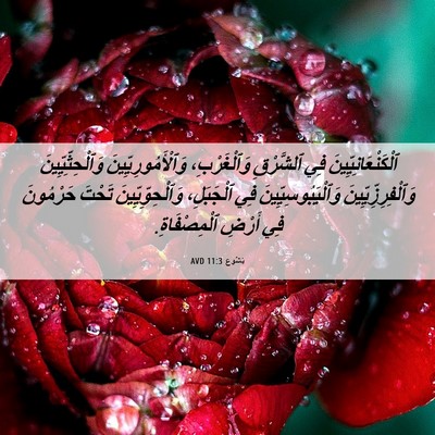 Picture 06 - يَشُوع 11:3 AVD - ٱلْكَنْعَانِيِّينَ فِي - Bible Verse Picture