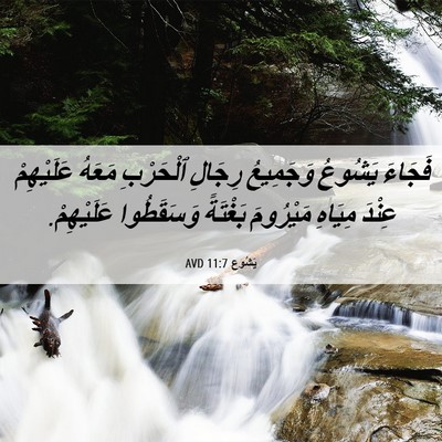 Picture 06 - يَشُوع 11:7 AVD - فَجَاءَ يَشُوعُ وَجَمِيعُ - Bible Verse Picture