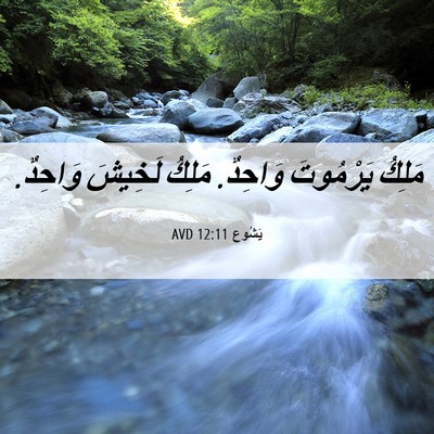 Picture 06 - يَشُوع 12:11 AVD - مَلِكُ يَرْمُوتَ وَاحِدٌ. - Bible Verse Picture