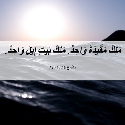 Picture 06 - يَشُوع 12:16 AVD - مَلِكُ مَقِّيدَةَ وَاحِدٌ. - Bible Verse Picture