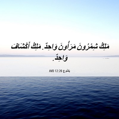 Picture 06 - يَشُوع 12:20 AVD - مَلِكُ شِمْرُونَ - Bible Verse Picture
