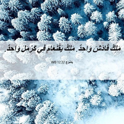 Picture 06 - يَشُوع 12:22 AVD - مَلِكُ قَادَشَ وَاحِدٌ. - Bible Verse Picture