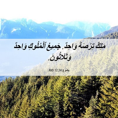 Picture 06 - يَشُوع 12:24 AVD - مَلِكُ تِرْصَةَ وَاحِدٌ. - Bible Verse Picture