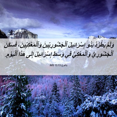 Picture 06 - يَشُوع 13:13 AVD - وَلَمْ يَطْرُدْ بَنُو - Bible Verse Picture
