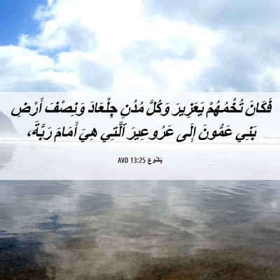 Picture 06 - يَشُوع 13:25 AVD - فَكَانَ تُخْمُهُمْ - Bible Verse Picture
