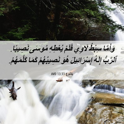 Picture 06 - يَشُوع 13:33 AVD - وَأَمَّا سِبْطُ لَاوِي - Bible Verse Picture
