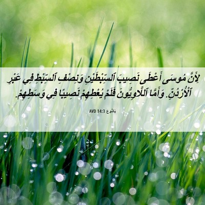 Picture 06 - يَشُوع 14:3 AVD - لِأَنَّ مُوسَى أَعْطَى - Bible Verse Picture