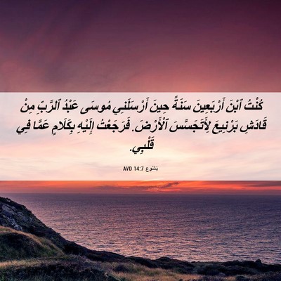 Picture 06 - يَشُوع 14:7 AVD - كُنْتُ ٱبْنَ أَرْبَعِينَ - Bible Verse Picture