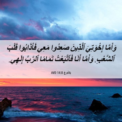 Picture 06 - يَشُوع 14:8 AVD - وَأَمَّا إِخْوَتِيَ - Bible Verse Picture