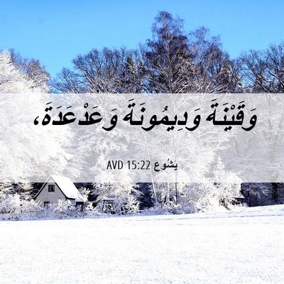 Picture 06 - يَشُوع 15:22 AVD - وَقَيْنَةَ وَدِيمُونَةَ - Bible Verse Picture