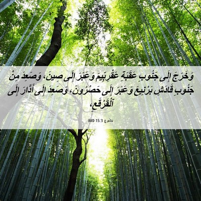 Picture 06 - يَشُوع 15:3 AVD - وَخَرَجَ إِلَى جَنُوبِ - Bible Verse Picture