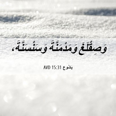 Picture 06 - يَشُوع 15:31 AVD - وَصِقْلَغَ وَمَدْمَنَّةَ - Bible Verse Picture