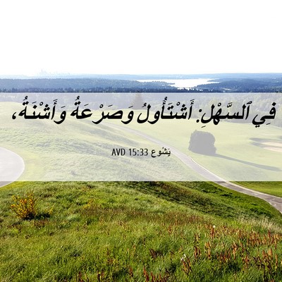 Picture 06 - يَشُوع 15:33 AVD - فِي ٱلسَّهْلِ: أَشْتَأُولُ - Bible Verse Picture