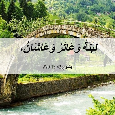 Picture 06 - يَشُوع 15:42 AVD - لِبْنَةُ وَعَاتَرُ - Bible Verse Picture