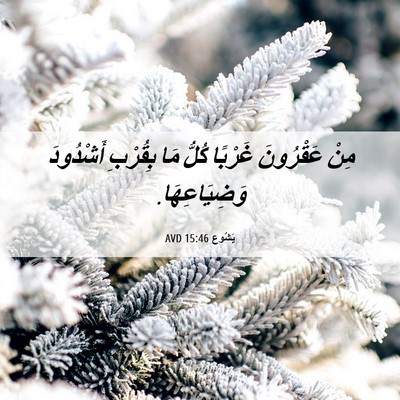 Picture 06 - يَشُوع 15:46 AVD - مِنْ عَقْرُونَ غَرْبًا - Bible Verse Picture