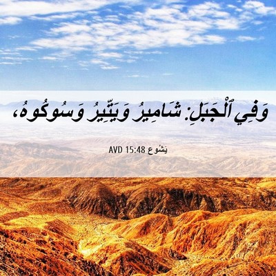 Picture 06 - يَشُوع 15:48 AVD - وَفِي ٱلْجَبَلِ: شَامِيرُ - Bible Verse Picture