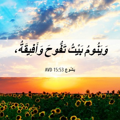 Picture 06 - يَشُوع 15:53 AVD - وَيَنُومُ بَيْتُ تَفُّوحَ - Bible Verse Picture