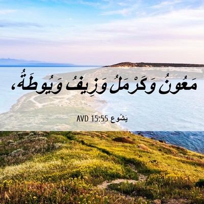 Picture 06 - يَشُوع 15:55 AVD - مَعُونُ وَكَرْمَلُ - Bible Verse Picture