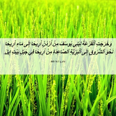 Picture 06 - يَشُوع 16:1 AVD - وَخَرَجَتِ ٱلْقُرْعَةُ - Bible Verse Picture