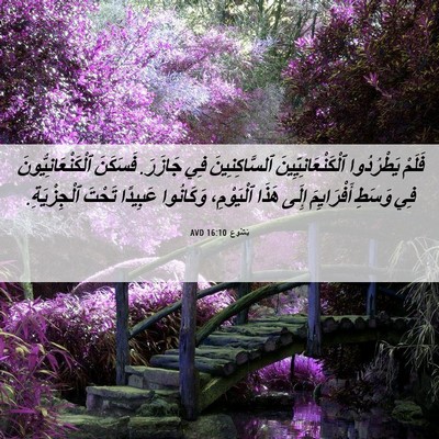 Picture 06 - يَشُوع 16:10 AVD - فَلَمْ يَطْرُدُوا - Bible Verse Picture