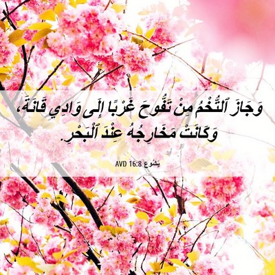 Picture 06 - يَشُوع 16:8 AVD - وَجَازَ ٱلتُّخْمُ مِنْ - Bible Verse Picture