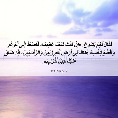 Picture 06 - يَشُوع 17:15 AVD - فَقَالَ لَهُمْ يَشُوعُ: - Bible Verse Picture