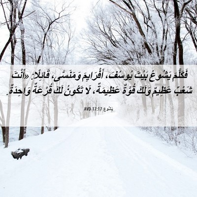 Picture 06 - يَشُوع 17:17 AVD - فَكَلَّمَ يَشُوعُ بَيْتَ - Bible Verse Picture