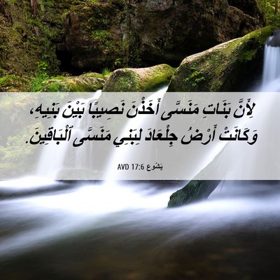 Picture 06 - يَشُوع 17:6 AVD - لِأَنَّ بَنَاتِ مَنَسَّى - Bible Verse Picture
