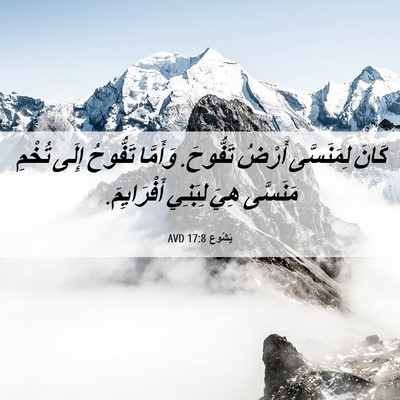 Picture 06 - يَشُوع 17:8 AVD - كَانَ لِمَنَسَّى أَرْضُ - Bible Verse Picture