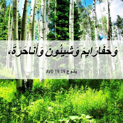 Picture 06 - يَشُوع 19:19 AVD - وَحَفَارَايِمَ وَشِيئُونَ - Bible Verse Picture