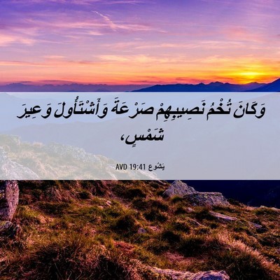 Picture 06 - يَشُوع 19:41 AVD - وَكَانَ تُخْمُ - Bible Verse Picture