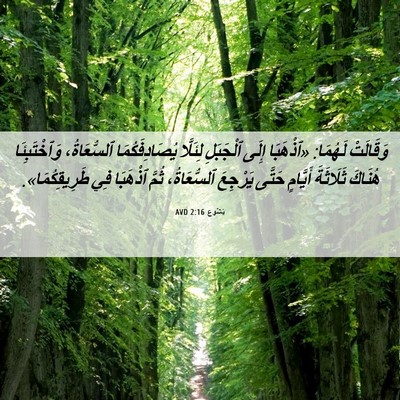 Picture 06 - يَشُوع 2:16 AVD - وَقَالَتْ لَهُمَا: - Bible Verse Picture