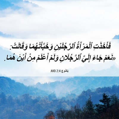Picture 06 - يَشُوع 2:4 AVD - فَأَخَذَتِ ٱلْمَرْأَةُ - Bible Verse Picture