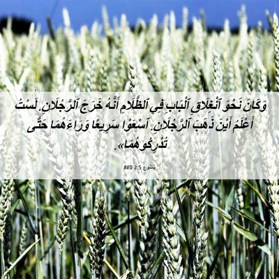 Picture 06 - يَشُوع 2:5 AVD - وَكَانَ نَحْوَ ٱنْغِلَاقِ - Bible Verse Picture